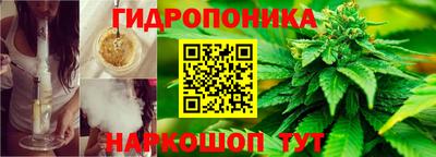 индика Донской