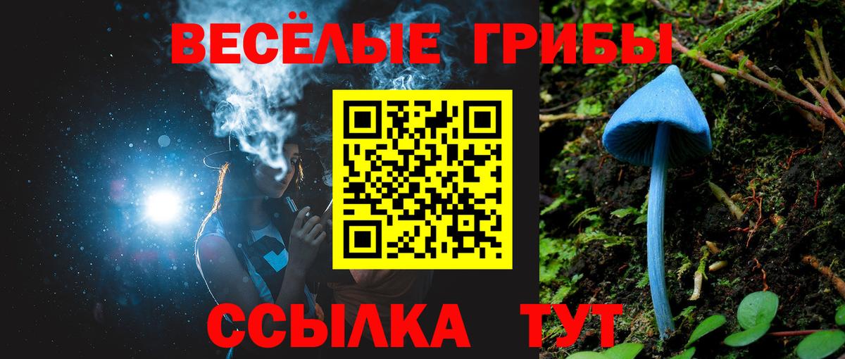 Галлюциногенные грибы Cubensis  Псилоцибиновые грибы мухоморы  Вход с VPN  Михайловка 