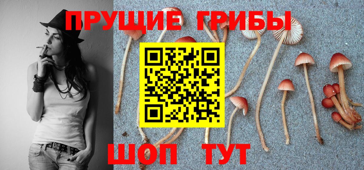 Псилоцибиновые грибы MAGIC MUSHROOMS Михайловка